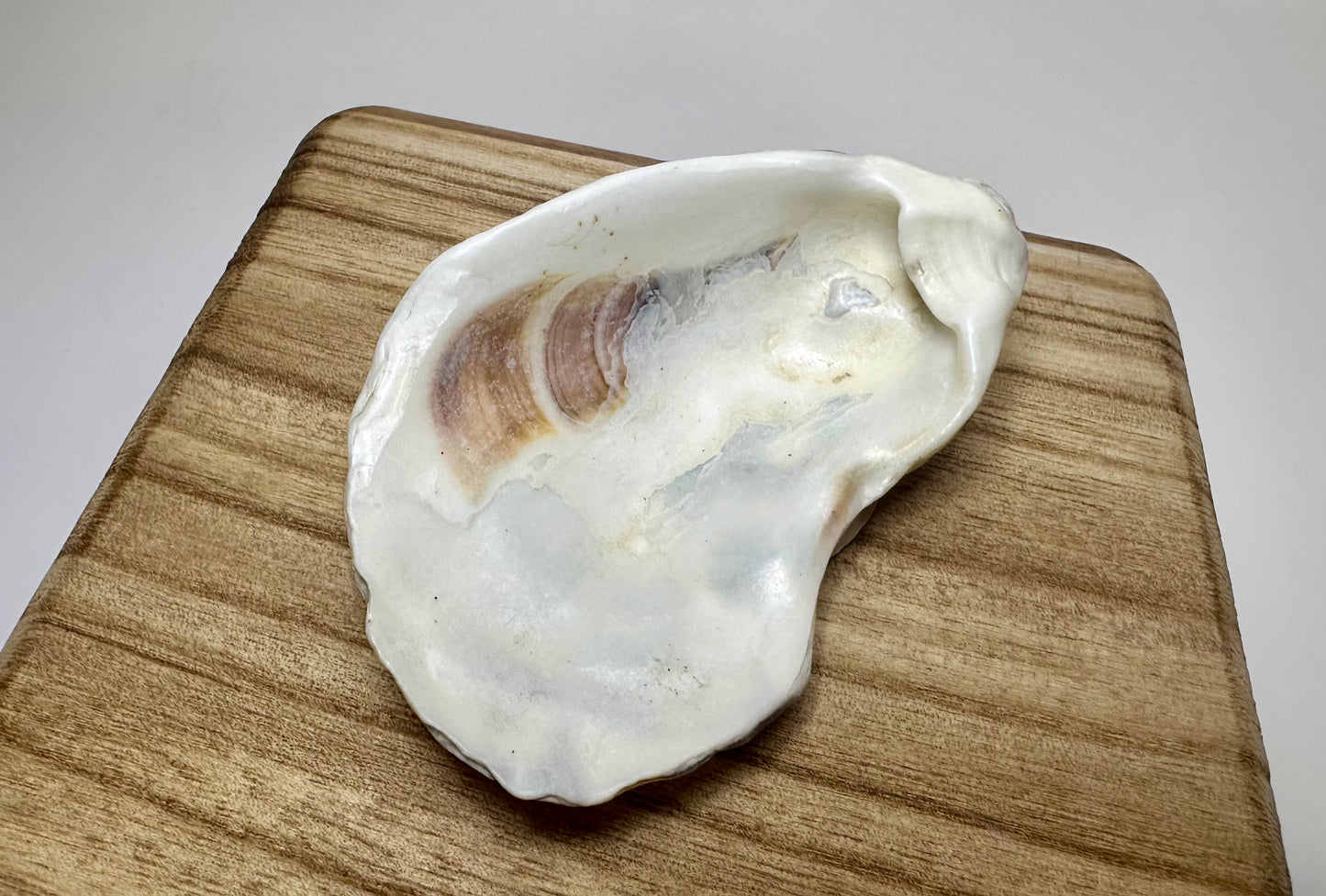 Oyster Dish